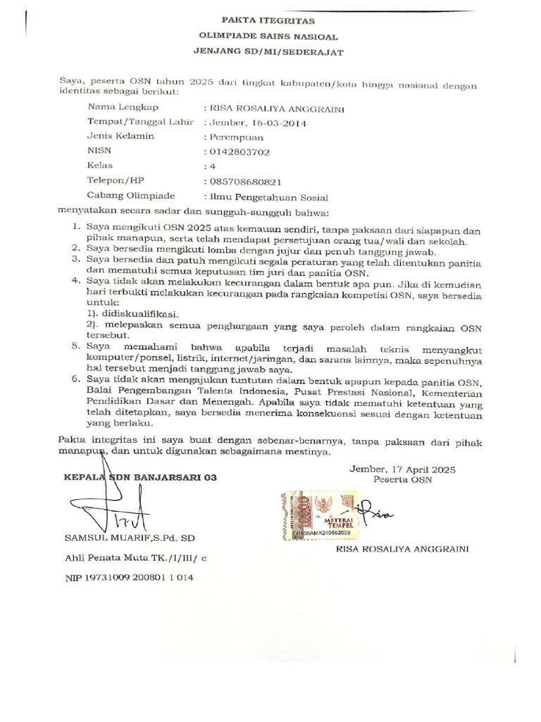 RISA Compressed | PDF