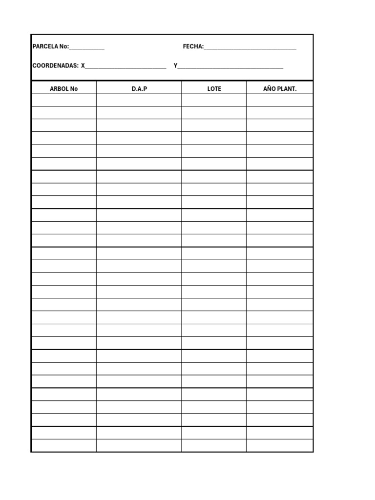 Formato PT | PDF