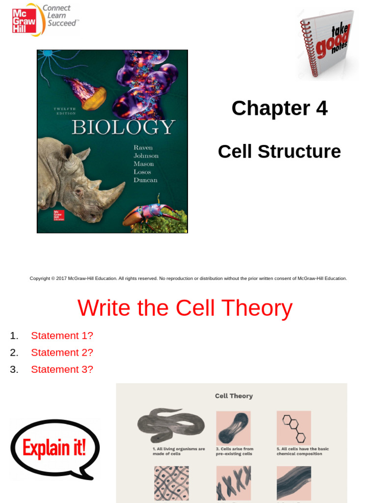 Understanding Cell Structure and Theory | PDF | Cell (Biology) | Eukaryotes