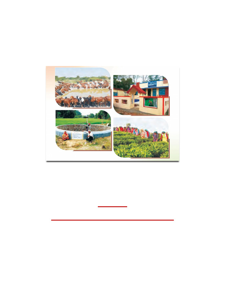 Rural Development Strategies in India | PDF | Economies