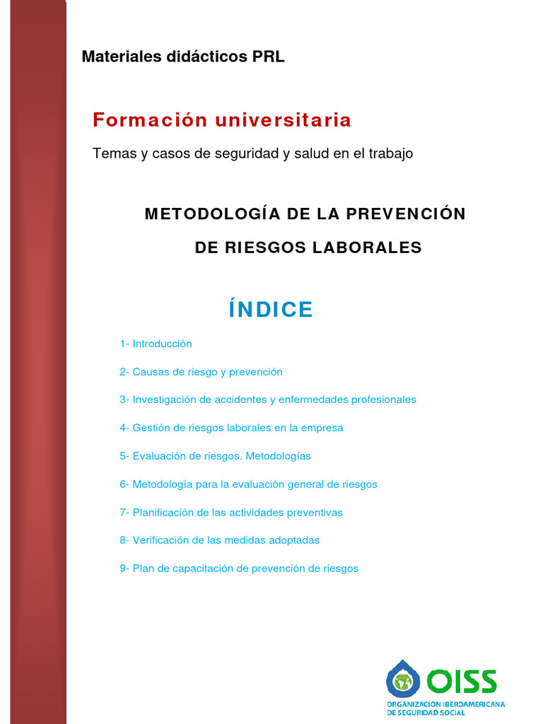 Prevencion de Riesgos | PDF | Seguridad y salud ocupacional | Riesgo