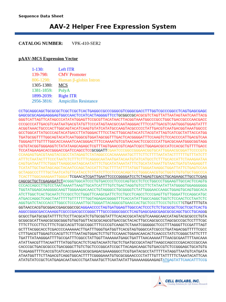 AAV-2 Helper Free Expression System | PDF | Health Sciences | Life Sciences