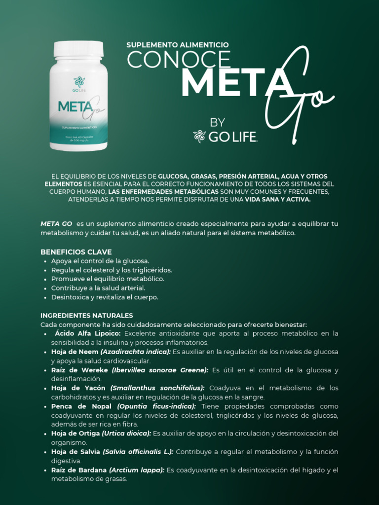 Beneficios de META Go para el Metabolismo | PDF | Obesidad | Metabolismo