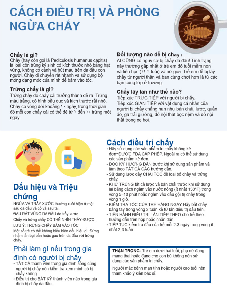 Head Lice Vietnamese | PDF