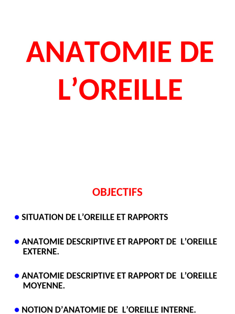 Anatomie détaillée de l'oreille humaine | PDF | Oreille | Système auditif