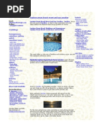 Download NEPTUNE ZANZIBAR PWANI BEACH RESORT AND SPA by David SN8562900 doc pdf