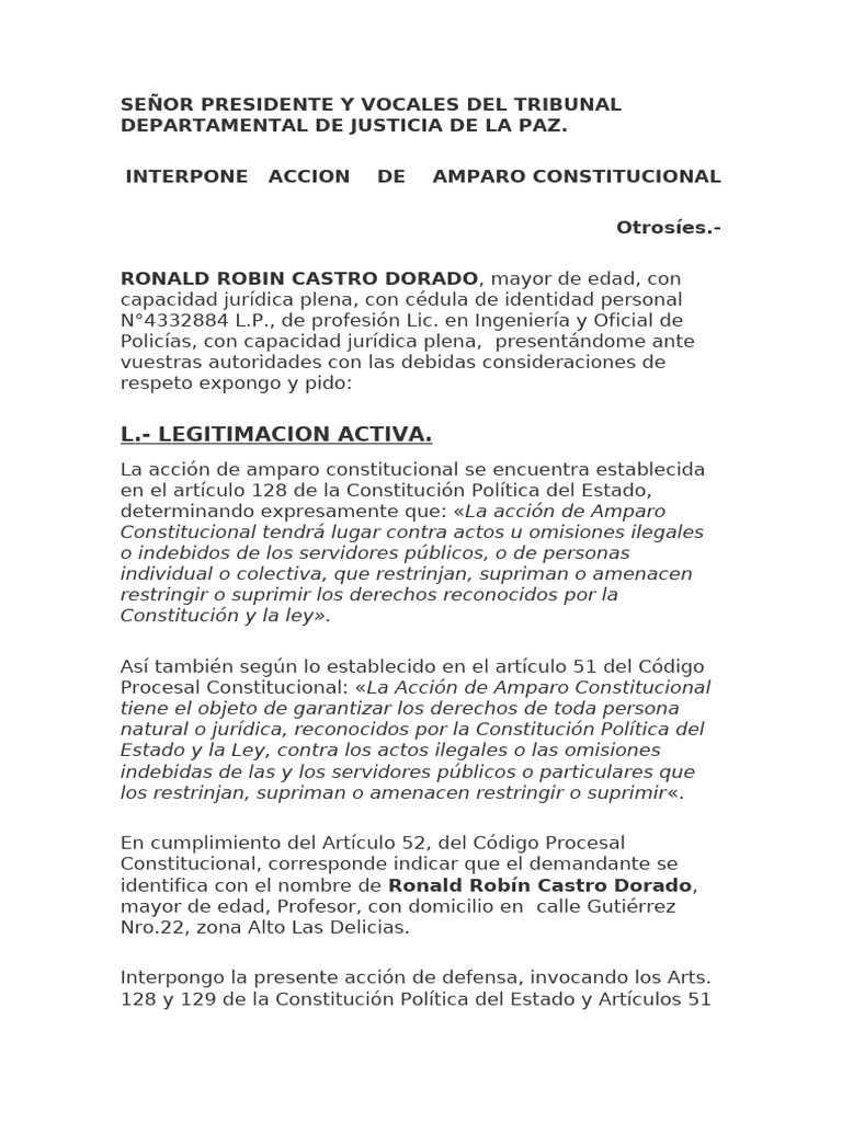 modelo de accion de amparo | PDF | Debido al proceso | Caso de ley