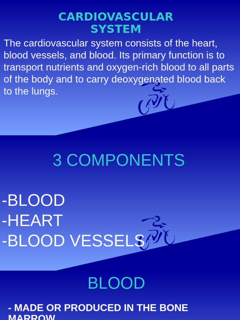 Cardiovascular System | PDF | Heart Valve | Diastole