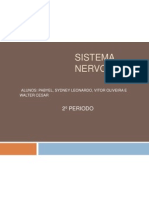 Sistema nervoso e seus componentes