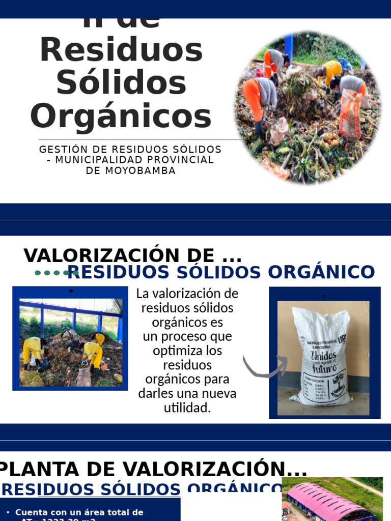 Valorización De Residuos Orgánicos En Moyobamba Pdf Compost