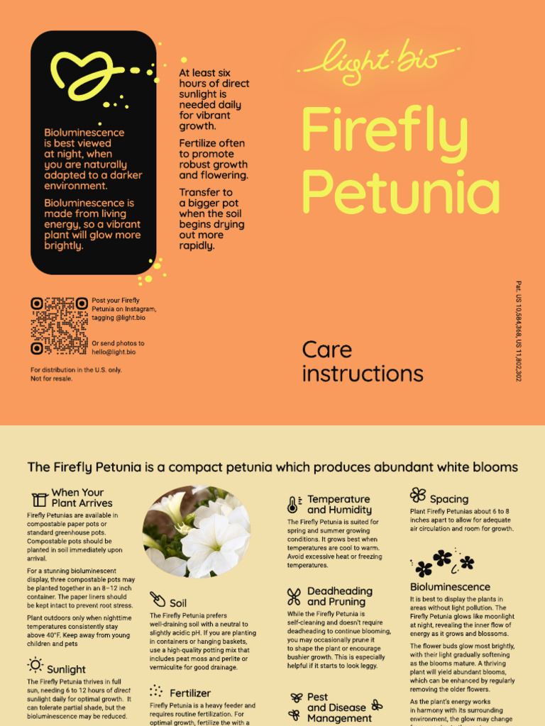 Light Bio - Firefly Petunia Care Instructions - 2025 | PDF