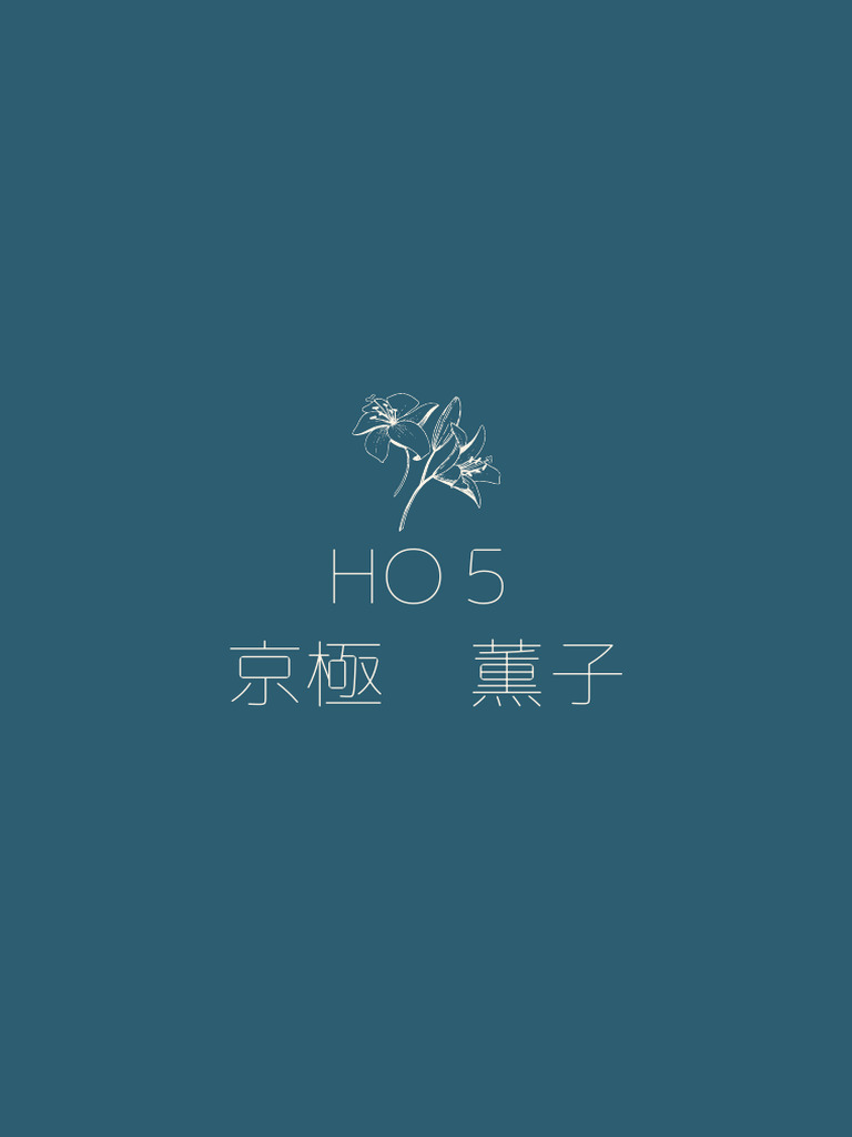 HO5 | PDF