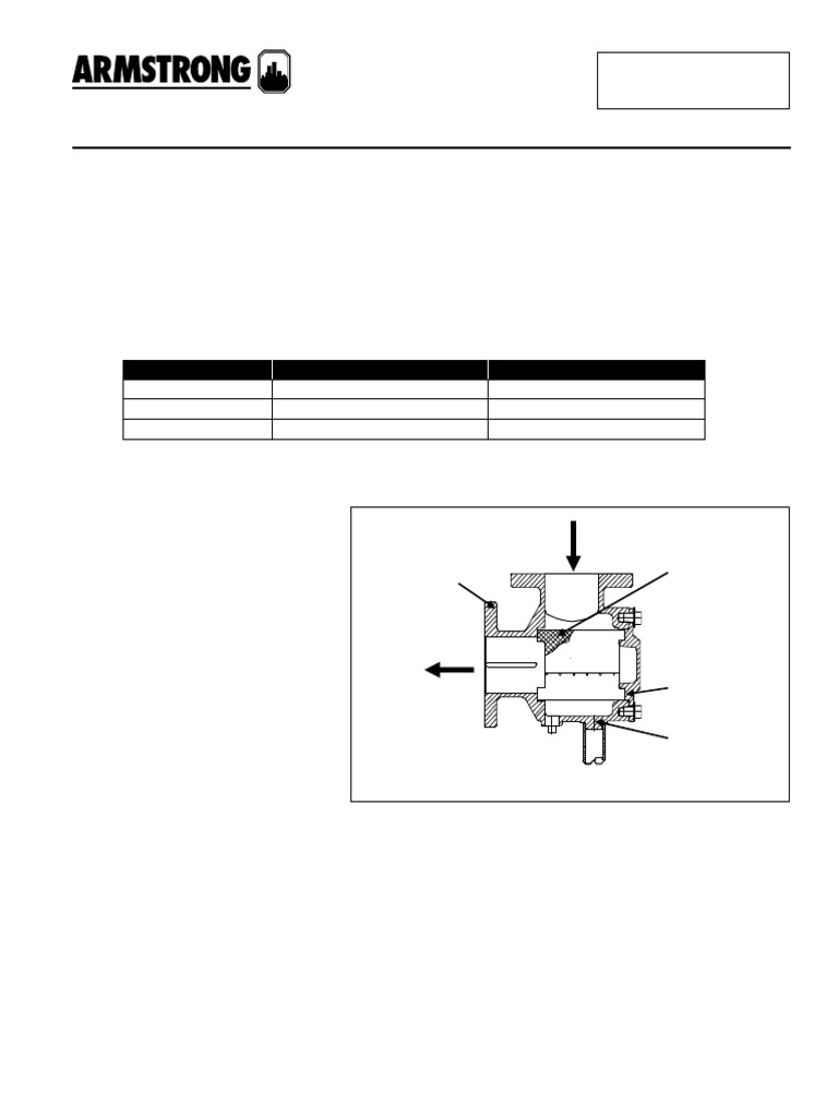 35 82 Suction Guides IandO | PDF | Filtración | Bomba