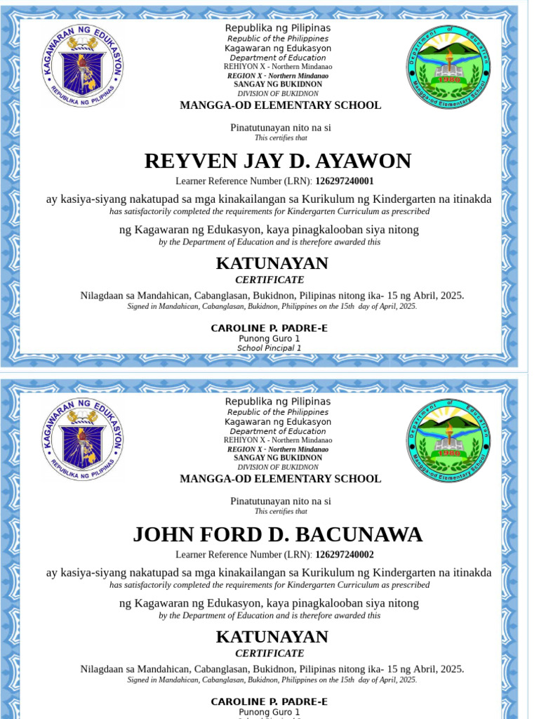 Diploma 2025 FINAL | PDF