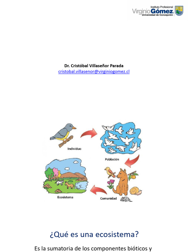 ECO 2024 Clase 6 Ecosistema | PDF