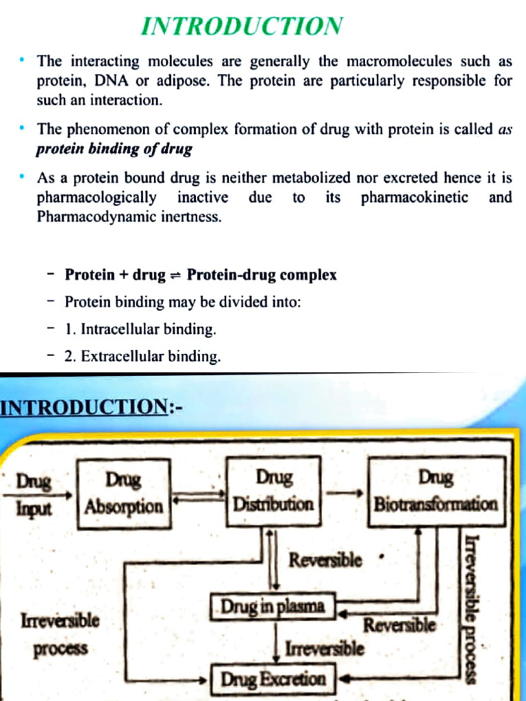 Picture of Protein Binding | PDF