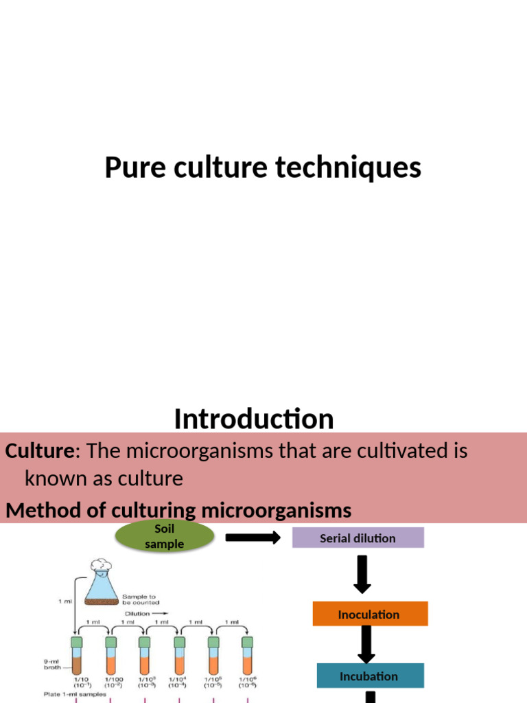 Pure Culture Techniques in Microbiology | PDF