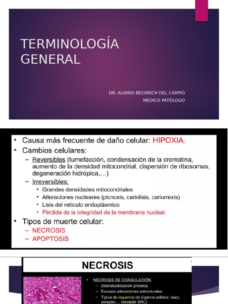 Tipos y Causas de Atrofia Celular | PDF