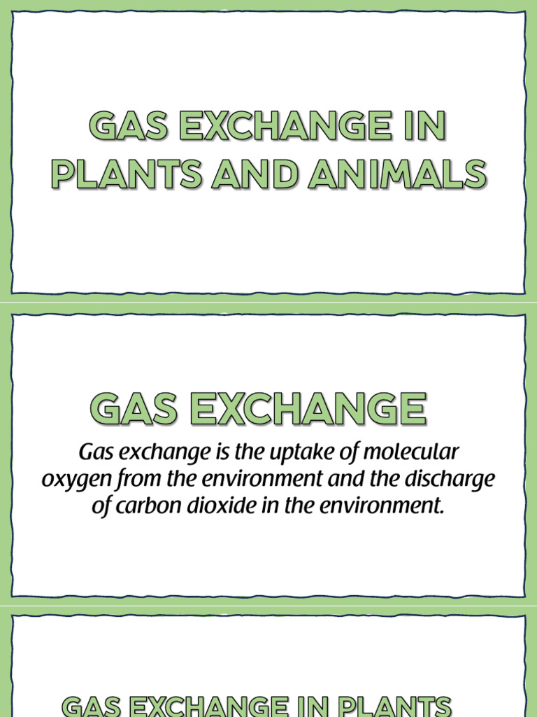 Plants and Animal Gas Exchange | PDF