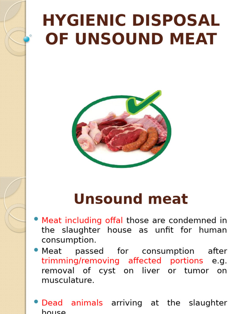 Disposal of Unsound Meat | PDF