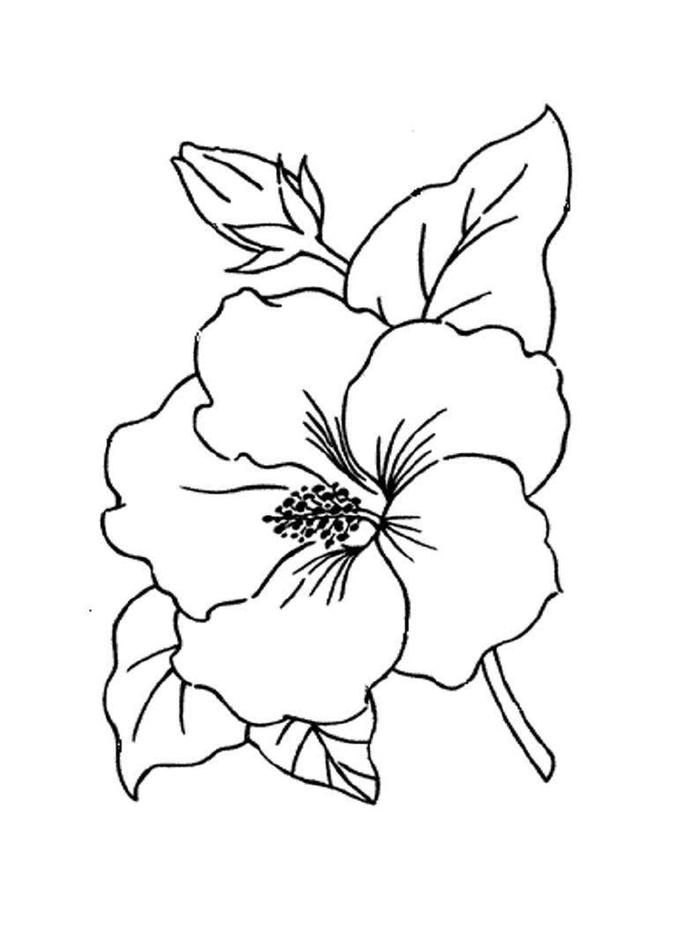 Bunga Raya Template | PDF