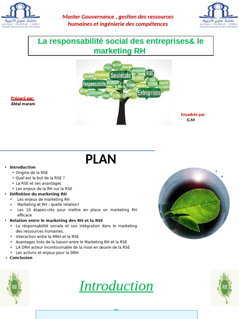 RSE et Marketing RH : Synergie Essentielle | PDF | Gestion des ...