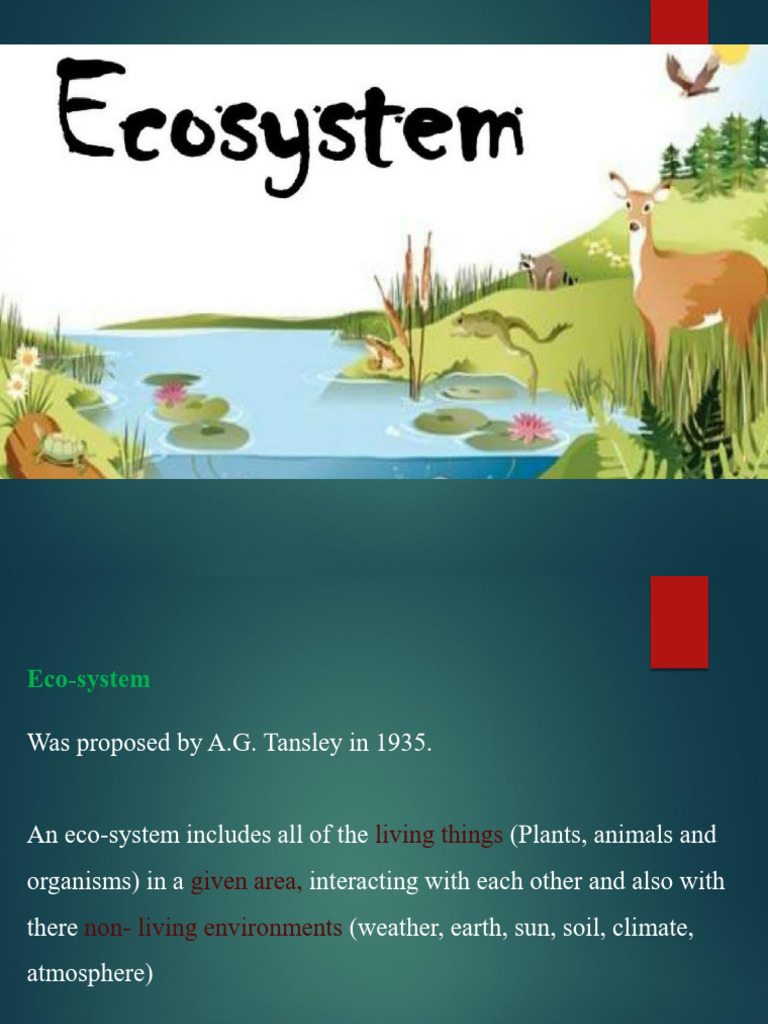 Understanding Ecosystems and Diseases | PDF | Ecosystem | Foods