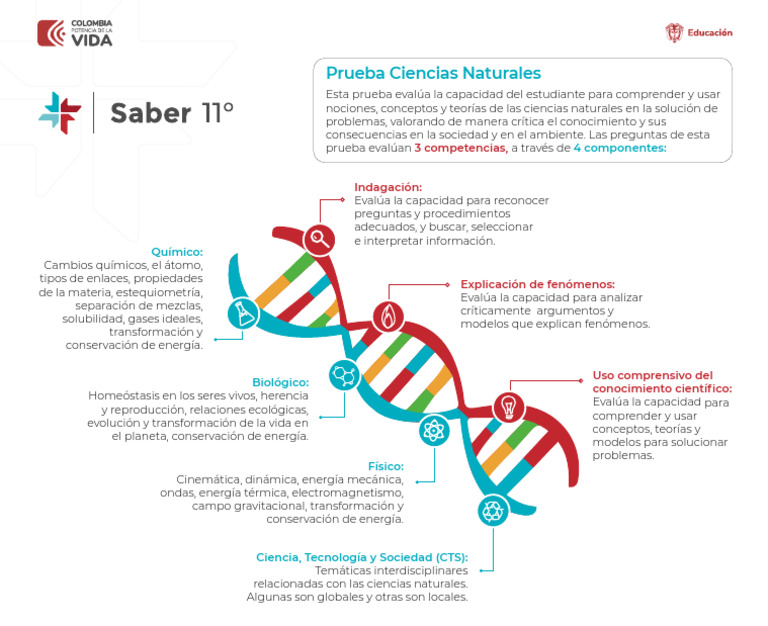 13 Junio - Infografía Ciencias Naturales Saber 11.o | PDF | Química ...