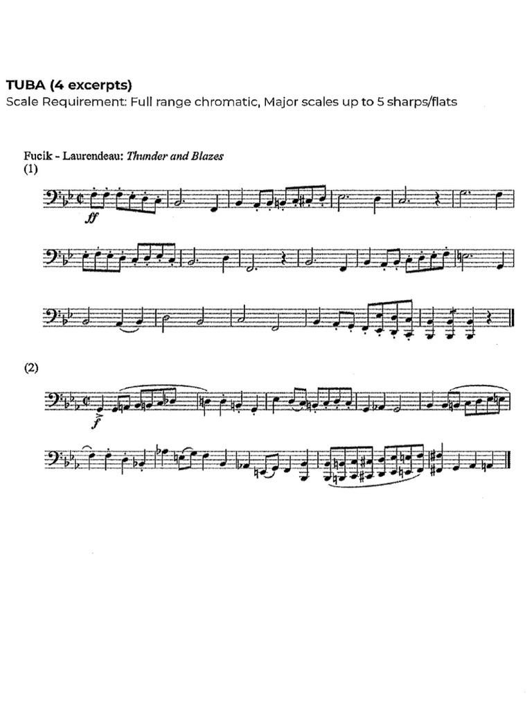 Wind Ensemble Audition Excerpt | PDF