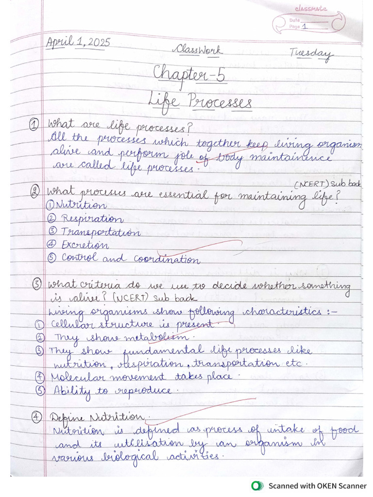 Chp5 Life Processes | PDF