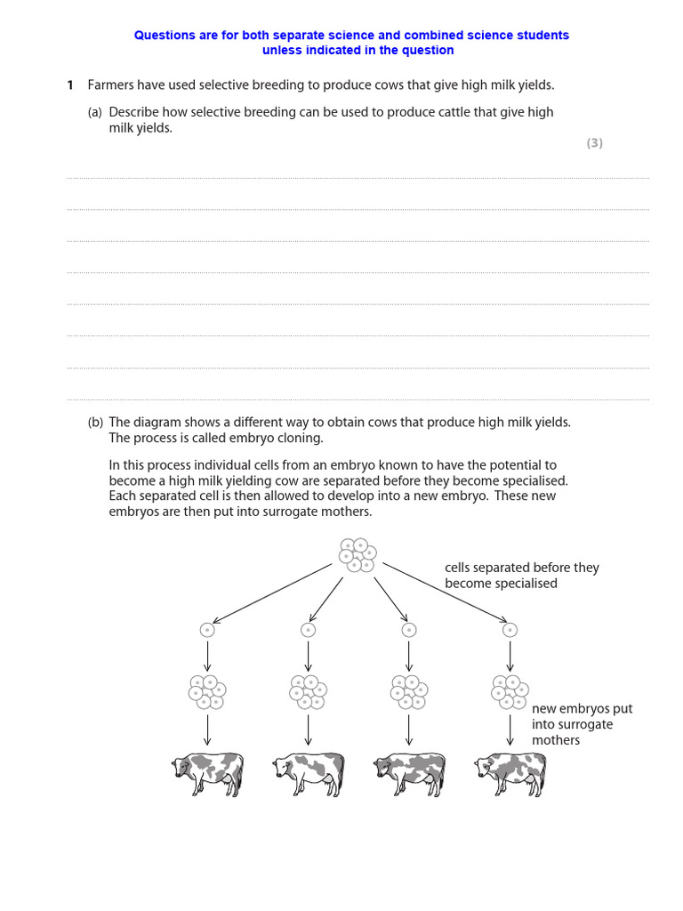 Selective Breeding Q-P Ms | PDF | Foods | Digestion