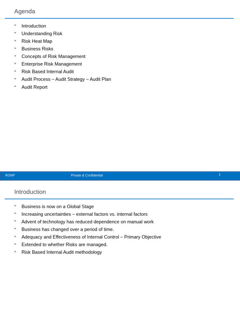 Risk Based Internal Audit | PDF | Risk Management | Risk