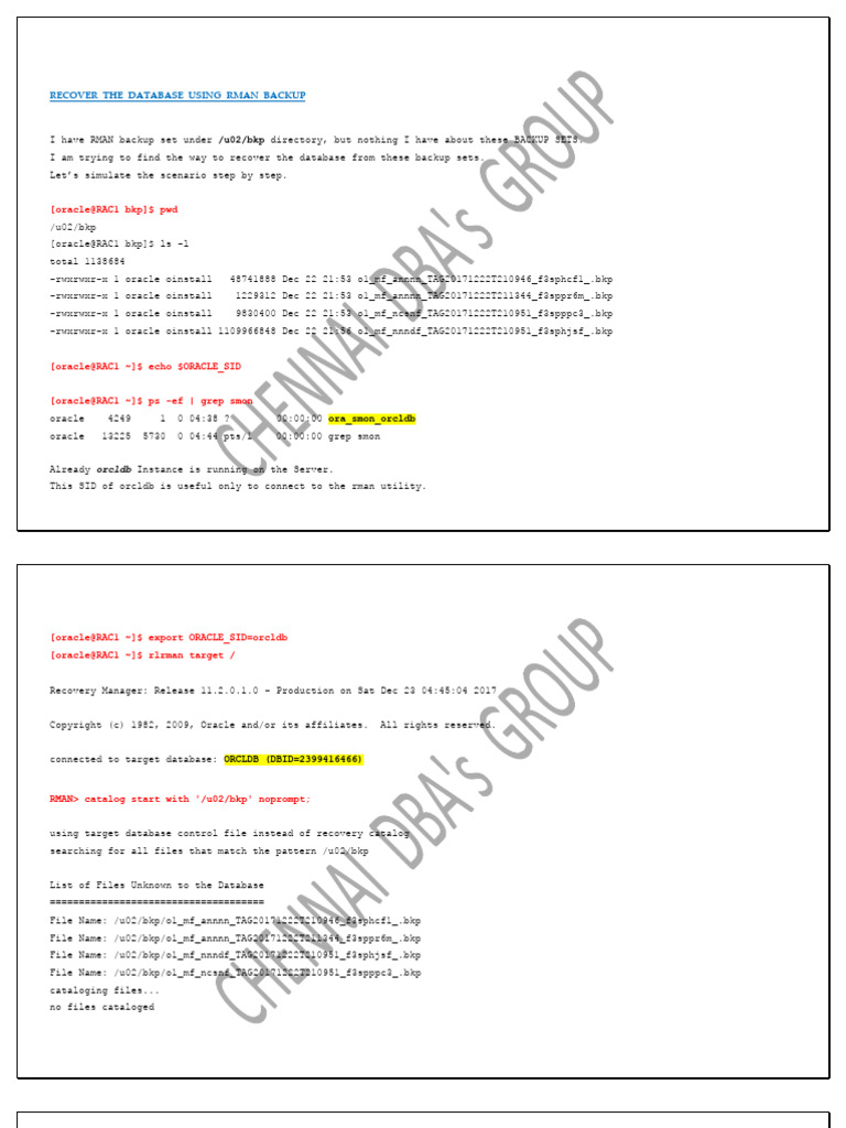 RMAN Database Recovery Steps for TESCO | PDF | Backup | Databases