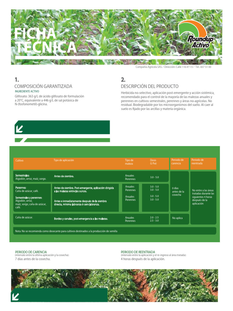 Ficha Técnica de Roundup Activo | PDF | Agua | Caña de azúcar