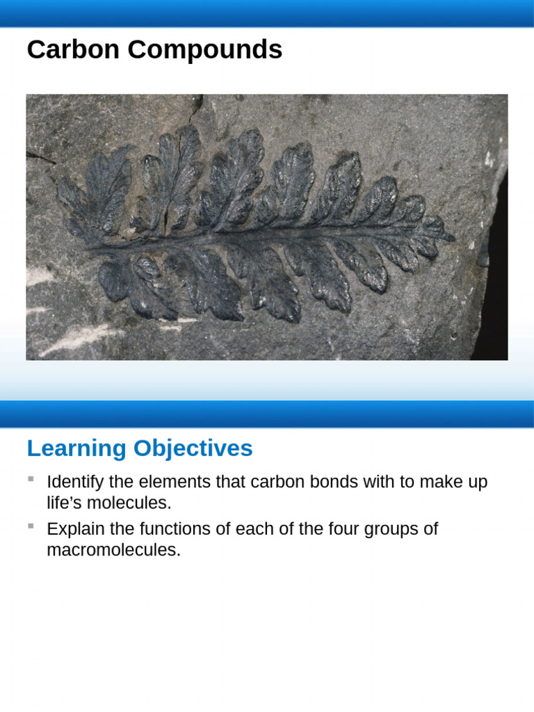 Chapter+2.3+Carbon+Compounds+Ppt | PDF