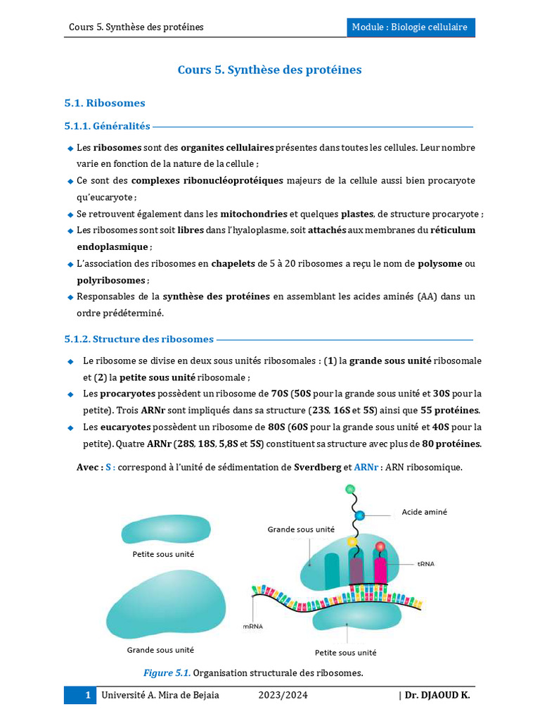 Cours 5 synthèse des proteines TD | PDF | Traduction génétique | Acide ...