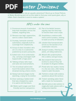 BPI Lens Tints and Color Options | PDF | Sunglasses | Light