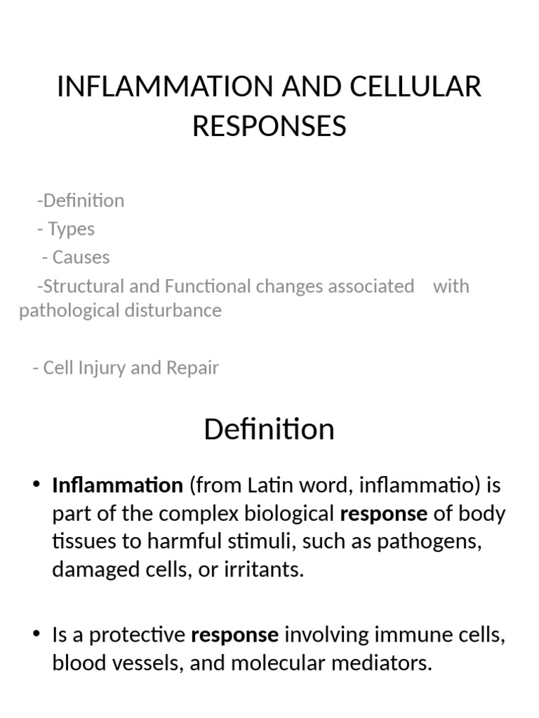 Signs of Inflammation Explained | PDF | Inflammation | Blood Vessel