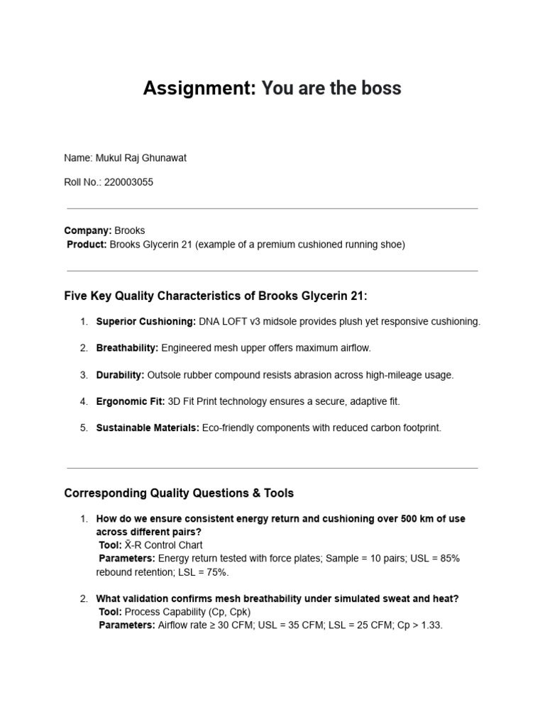 Assignment - You Are The Boss | PDF