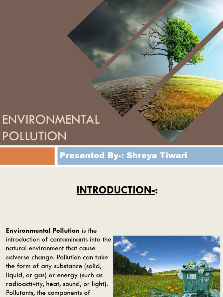Causes and Effects of Environmental Pollution | PDF | Pollution | Waste