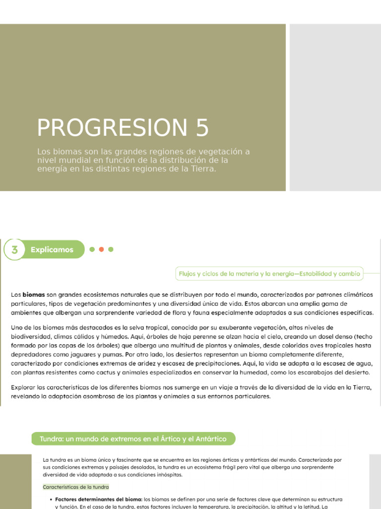 Progresion 5 | PDF