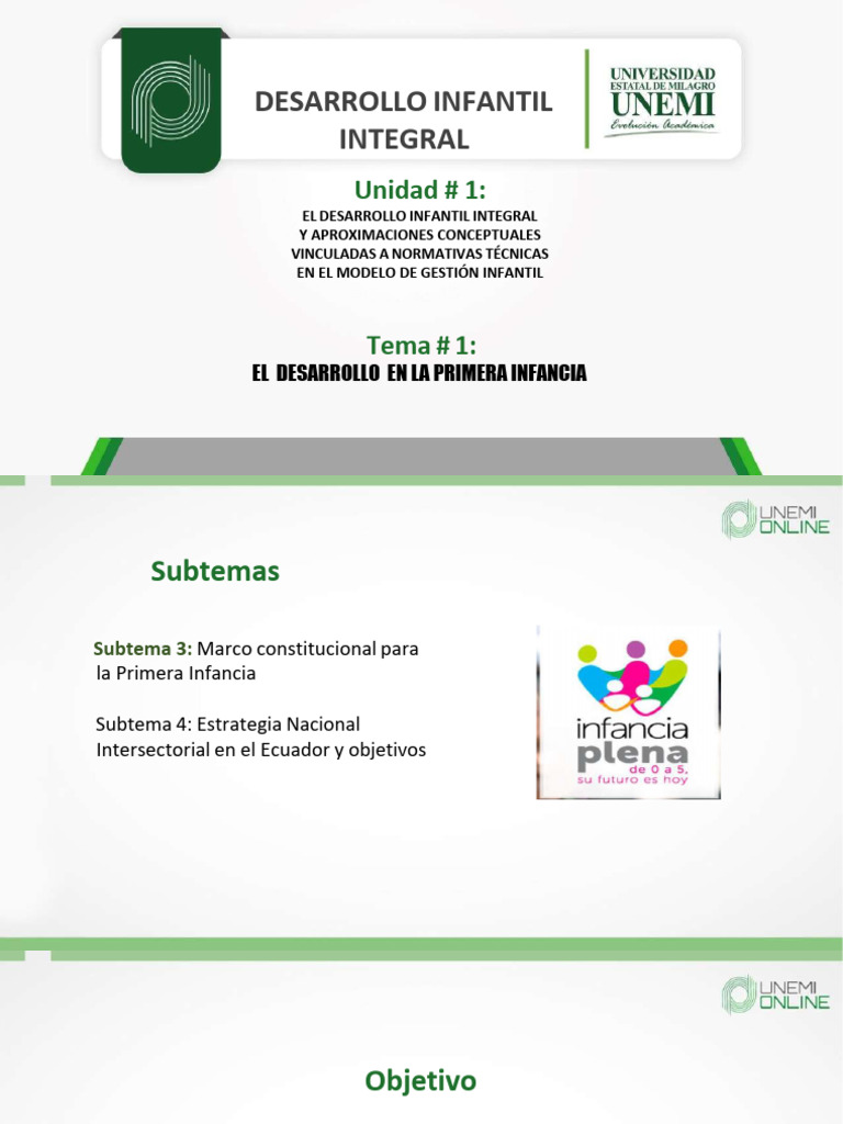 Desarrollo Integral en la Primera Infancia | PDF | Constitución | Ecuador