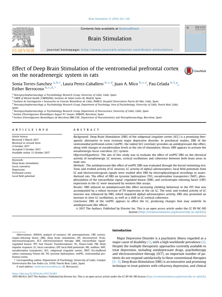 Effect of Deep Brain Stimulation of The Ventromedi | PDF | Deep Brain ...