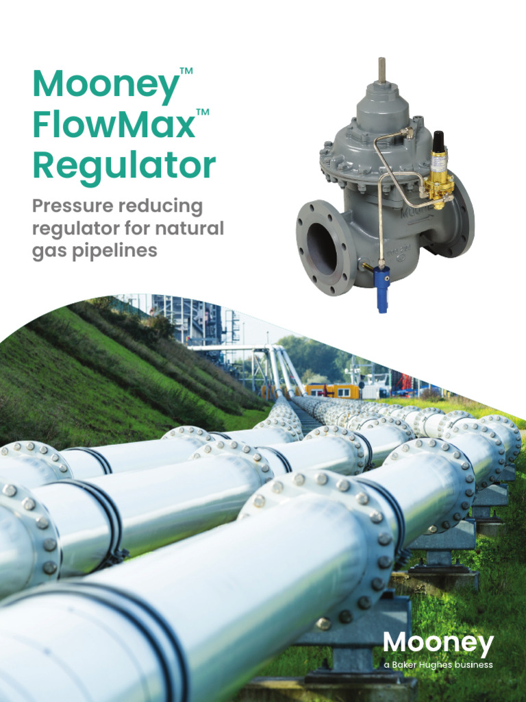 Mooney FlowMax Gas Regulator Overview | PDF | Fluid Dynamics | Gases