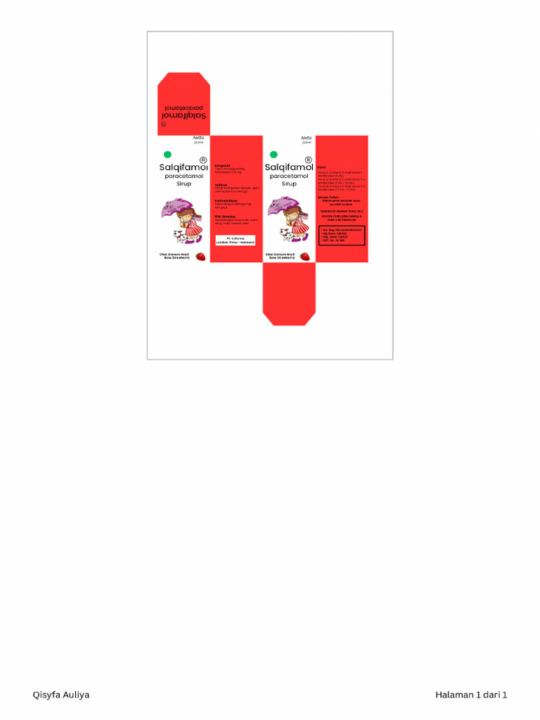 Design Kotak Obat Sirup | PDF