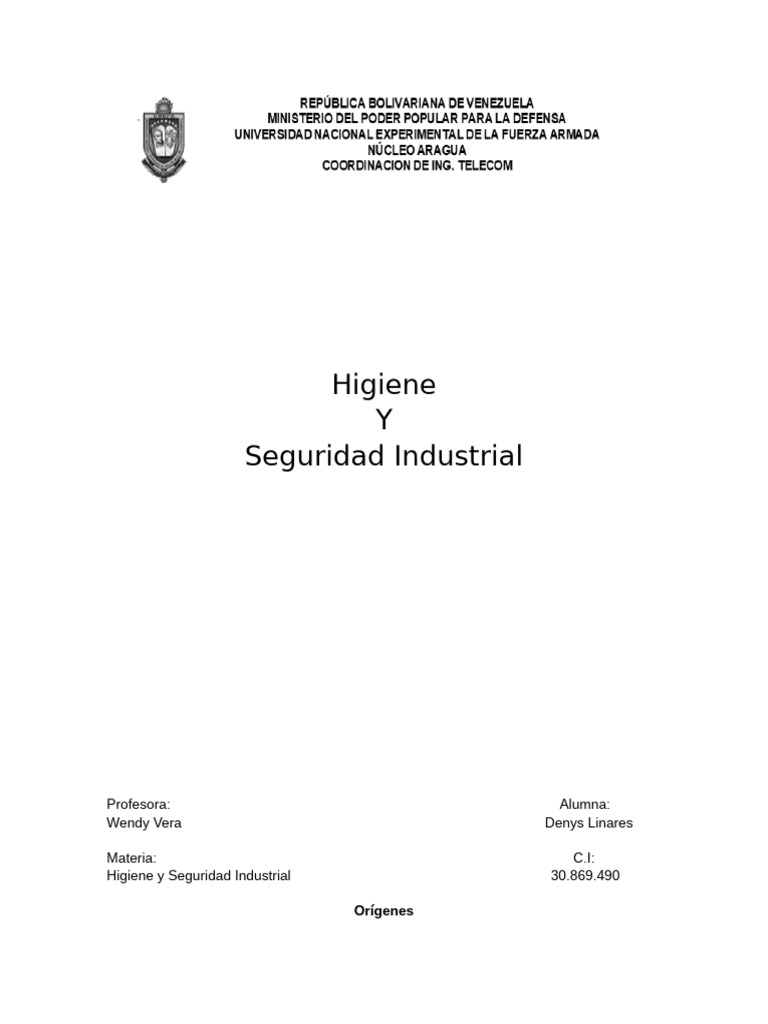 Higiene y Seguridad Industrial | PDF | Seguridad y salud ocupacional ...