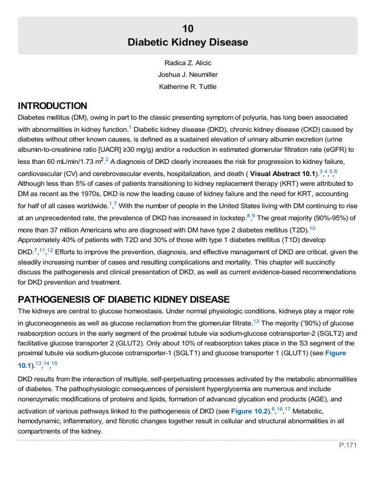 Understanding Diabetic Kidney Disease | PDF | Chronic Kidney Disease ...