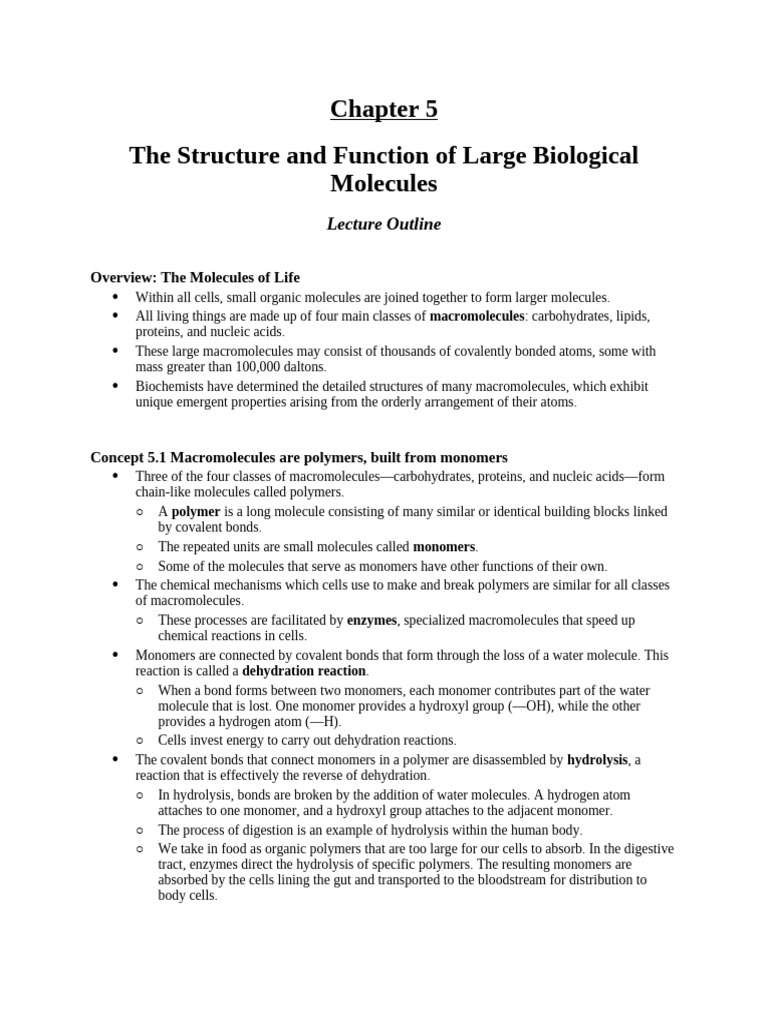 Structure and Function of Macromolecules | PDF | Carbohydrates ...