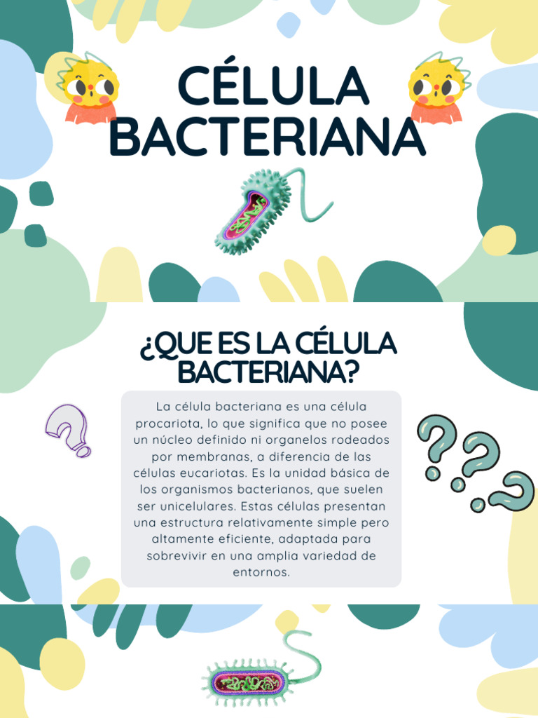 Estructura y características de la célula bacteriana | PDF | Las ...
