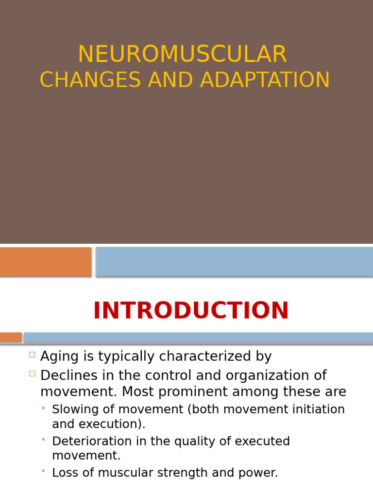 Aging and Neuromuscular Adaptations | PDF | Basal Ganglia | Vestibular ...